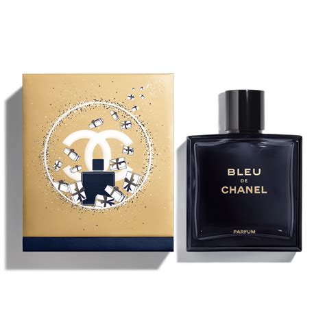 chanel bleu de chanel edt 300ml|bleu de chanel smell like.